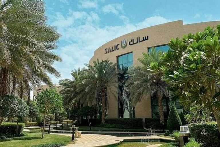 "سالك" السعودية تستحوذ على حصة بـ 209 مليون درهم في شركة أرز