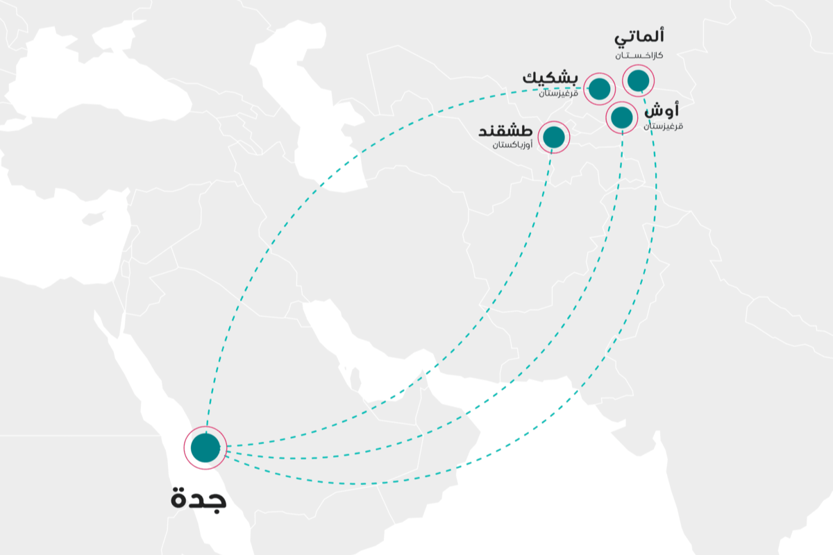 طيران ناس