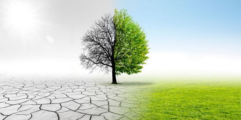 Crunch time: How climate change poses profound risks to our life