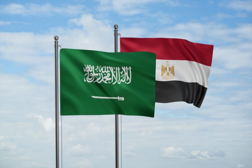 Potential use of local currencies for trade between Saudi, Egypt