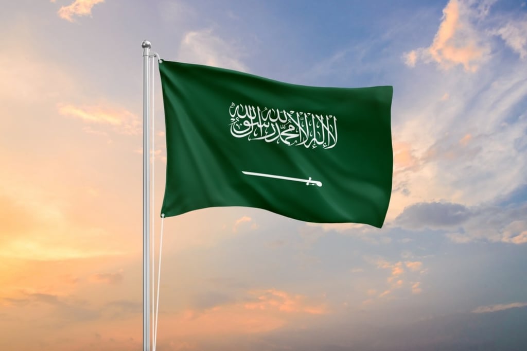 Saudi Arabia tops GCC ranking in Statistical Performance Index