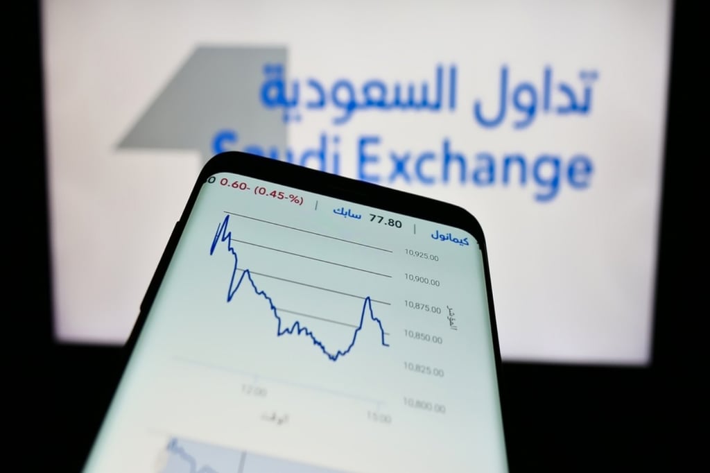 تداول السعودية تستحوذ على 32.6 في المئة من دي إم إي مقابل 28 مليون دولار