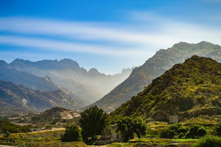 Saudi Arabia plants over 95 million trees since launch of green initiative