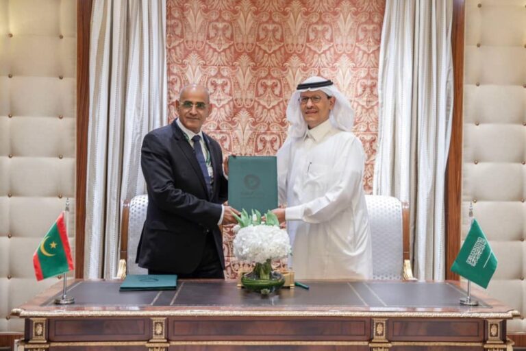 Saudi Arabia, Mauritania to cooperate in electricity, renewable energy, and clean hydrogen